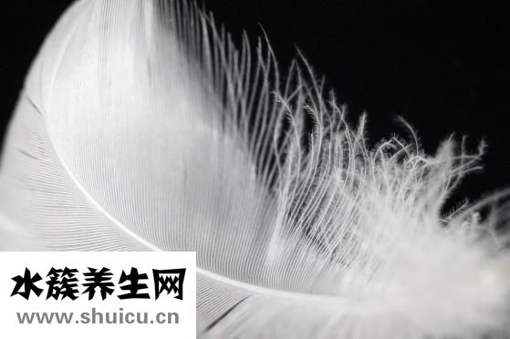 早孕試紙對照圖