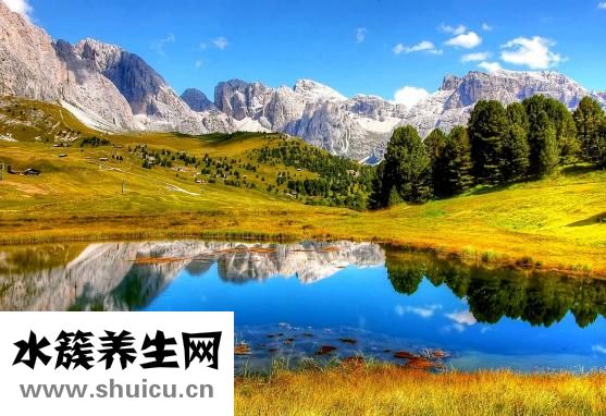 嬰幼兒預防針一覽表