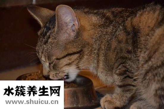 豌豆的營養(yǎng)價值