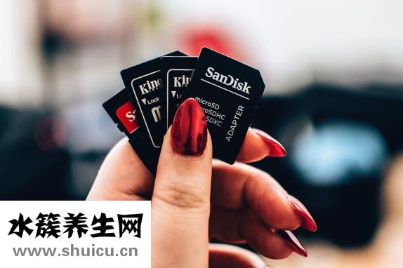 色素性紫癜性皮膚病