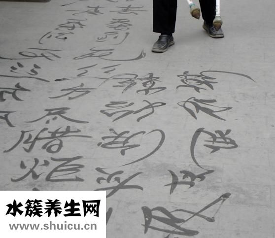 疏風(fēng)再造丸