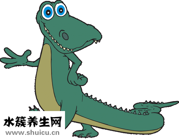 鼻甲肥大必須手術嗎