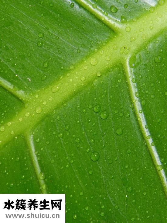 燥起來是什么意思