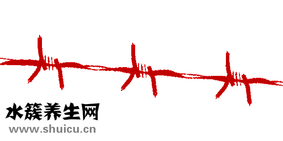 色素性紫癜性皮膚病