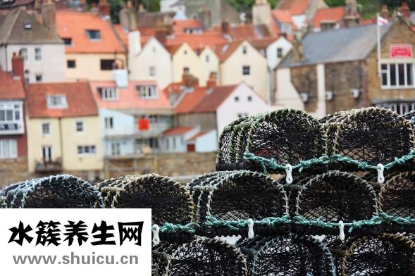 孕婦能吃蘆筍嗎