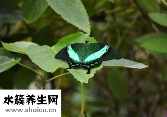 牙齒根管治療疼嗎