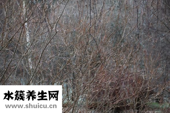 婦科凝膠怎么使用