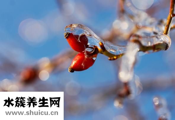 血糖高能吃山楂嗎