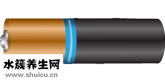 色素性毛表皮痣