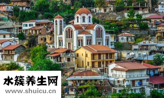 沙美特羅替卡松