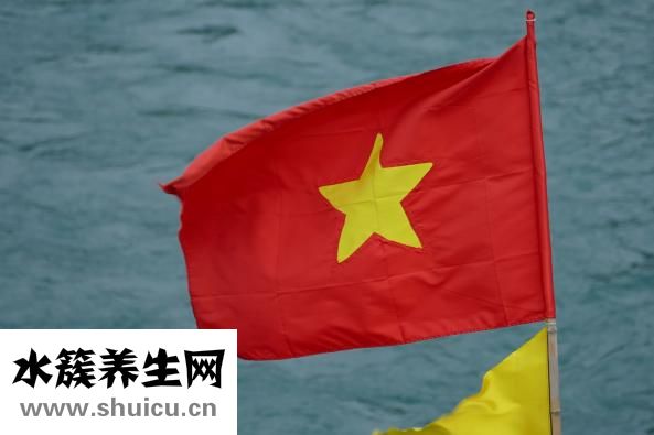 柳葉的作用與功效