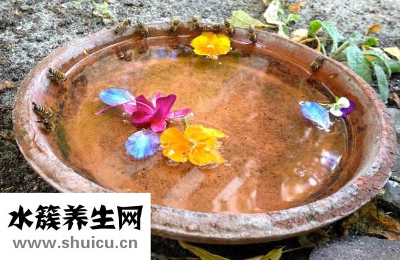 金桔蜂蜜水的功效