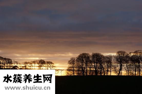 輸血前八項指什么