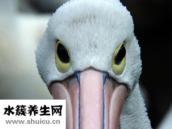 眼保健操幾分鐘