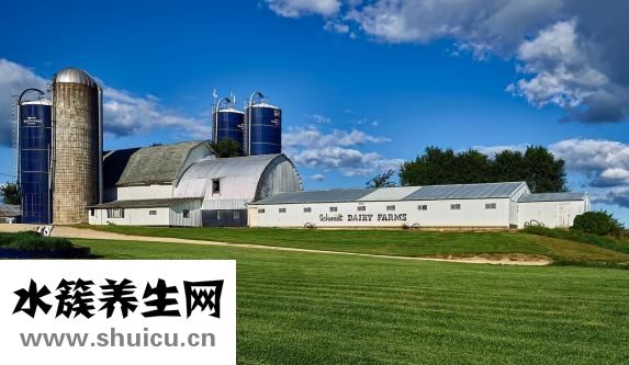 孕婦能吃蛋撻嗎