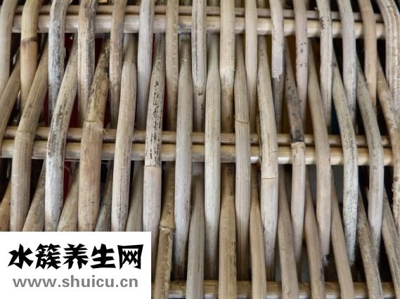 腺樣體肥大怎么檢查