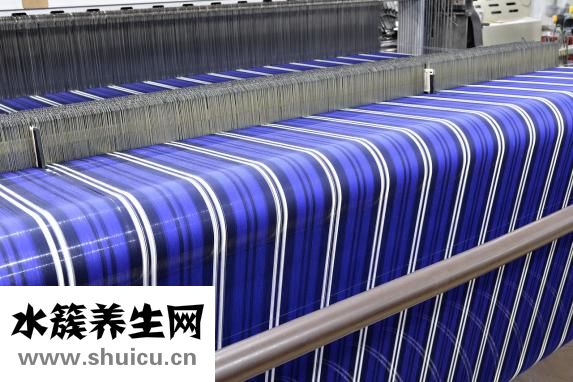 羊胎盤的功效與作用