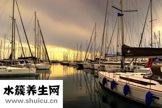 椰油酰胺丙基甜菜堿