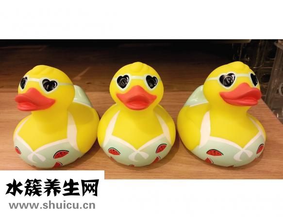 鴨心的功效與作用