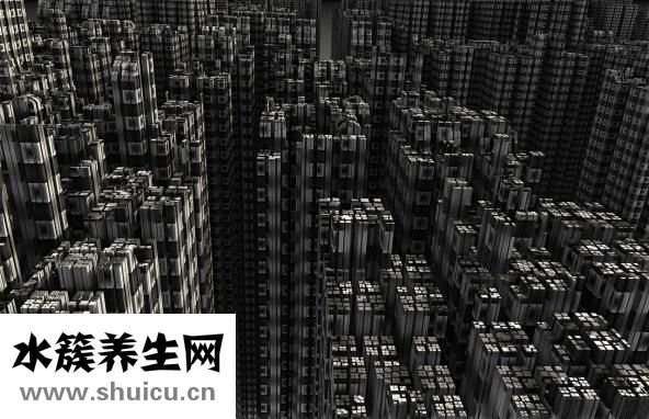 通心絡(luò)膠囊成分