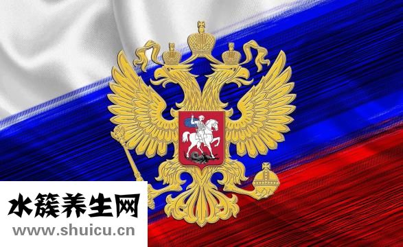 鎖骨下靜脈穿刺