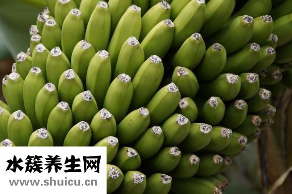 燙傷不能吃什么