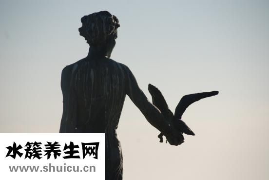 蜈蚣咬了怎么辦