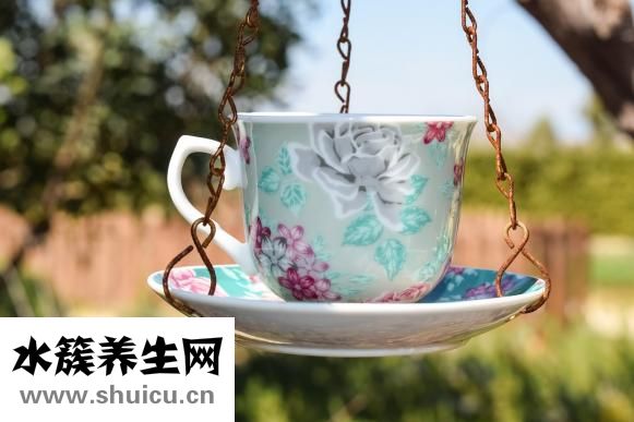 蘇子降氣湯