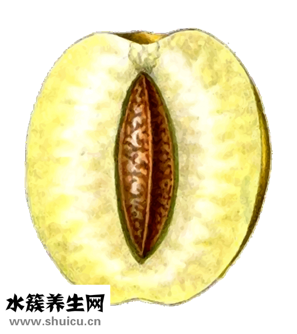 月子怎么補(bǔ)
