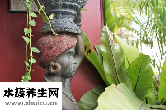 瘦腿針多少錢一針