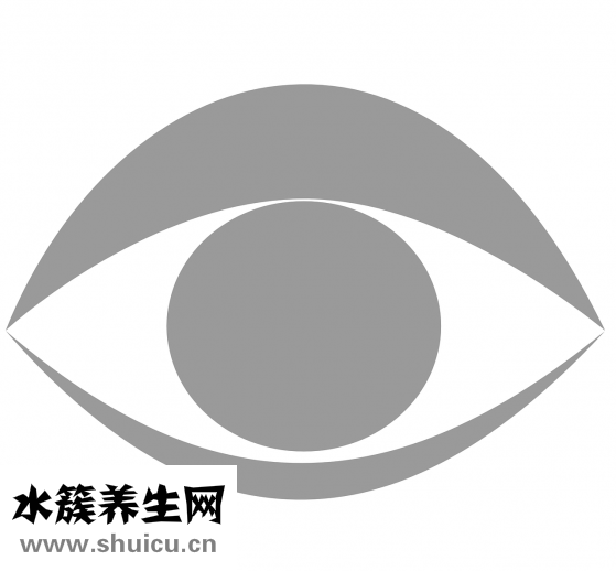 網(wǎng)上測視力