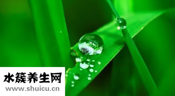 睡前能吃蘋果嗎