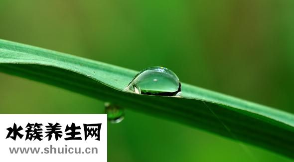 睡前能吃蘋果嗎