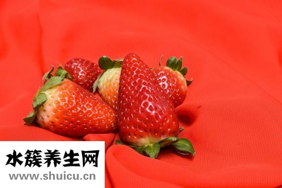 胸前吸草莓的危害