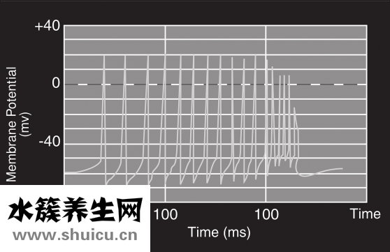 網織紅細胞百分比