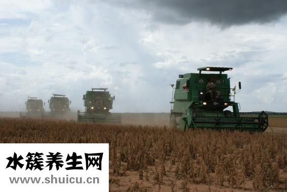 葛根粉怎么吃豐胸