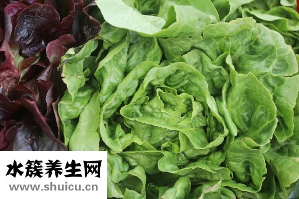 驗血型需要空腹嗎