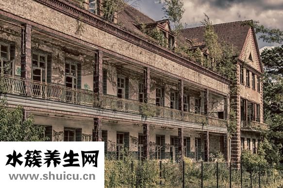 睡眠不好掛什么科