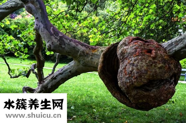 圓肩駝背怎么訓(xùn)練