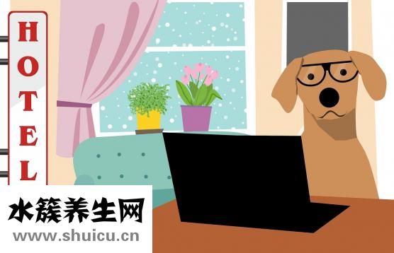 田七痛經(jīng)膠囊