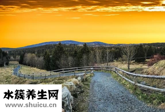 腎結石飲食注意