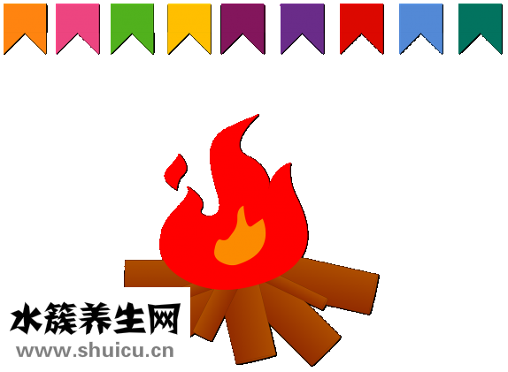 瘦臉操真的有用嗎