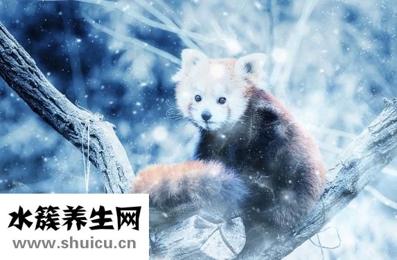 痙攣是怎么回事