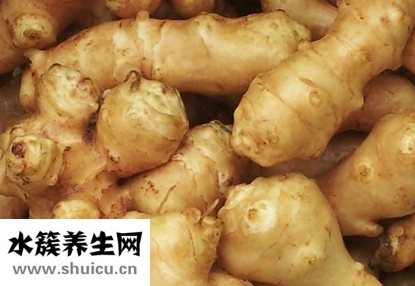 洋姜什么人不能吃