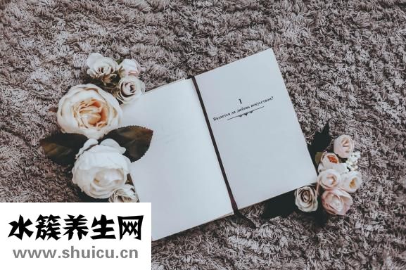 萵筍葉子能吃嗎