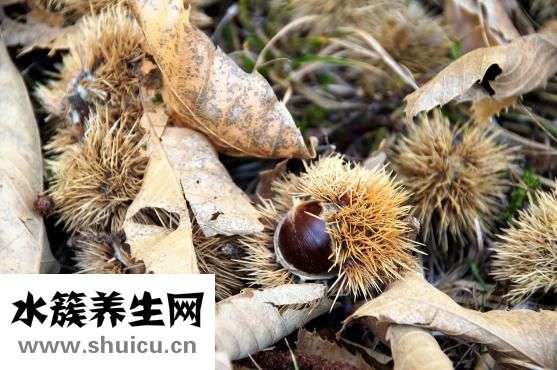 野蔥哪些人不能吃