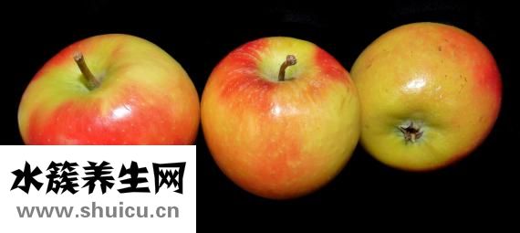 睡前能吃蘋果嗎