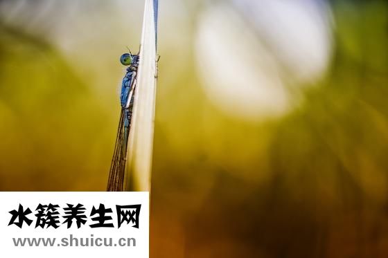 血管堵塞的癥狀