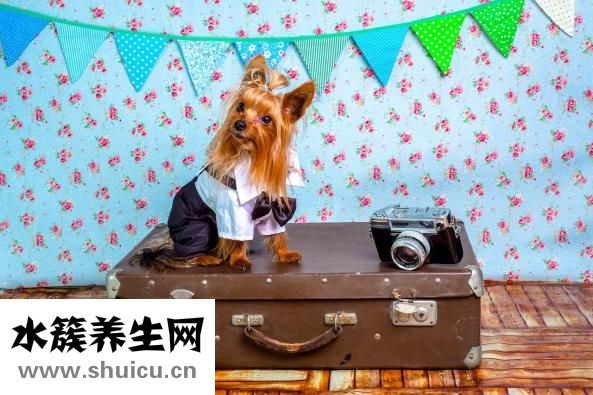 胃鏡需要多少錢