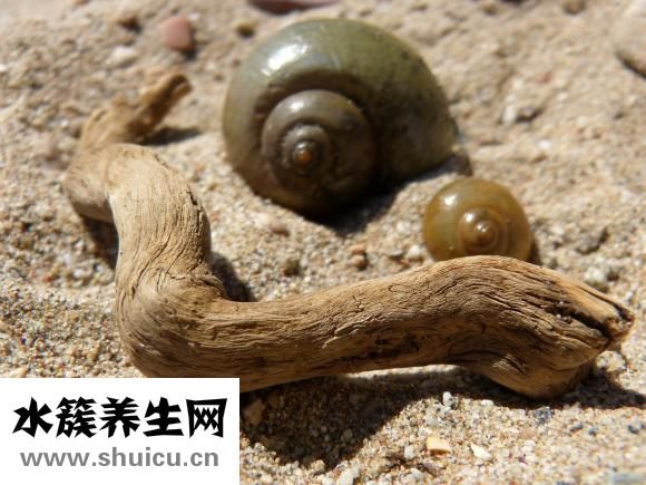 肝病會不會傳染